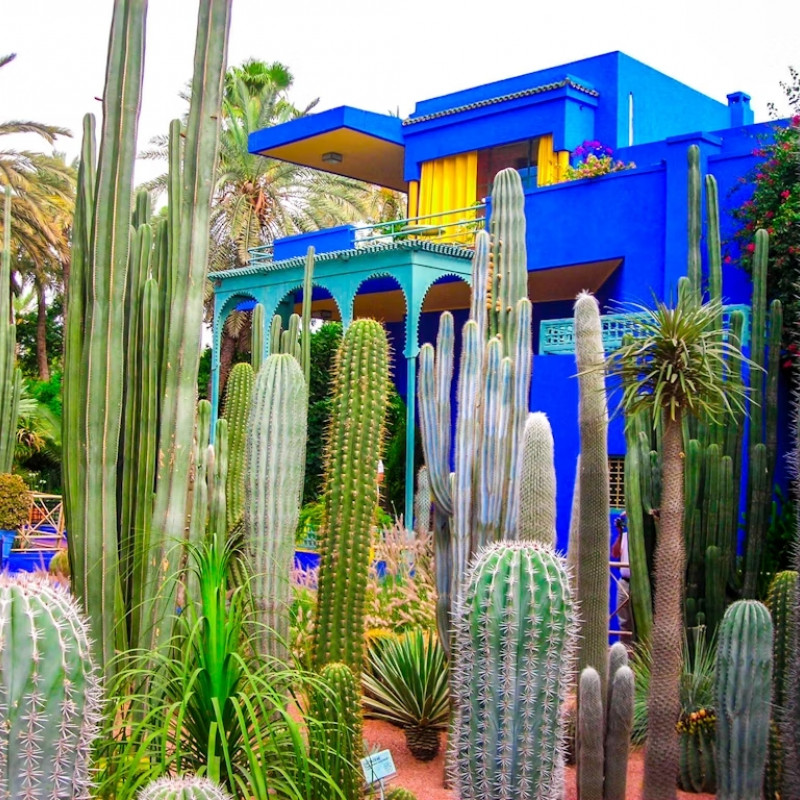 Il blu è il colore che domina accanto al verde al Jardin Majorelle. © Aurore Kervoern / Getty Images