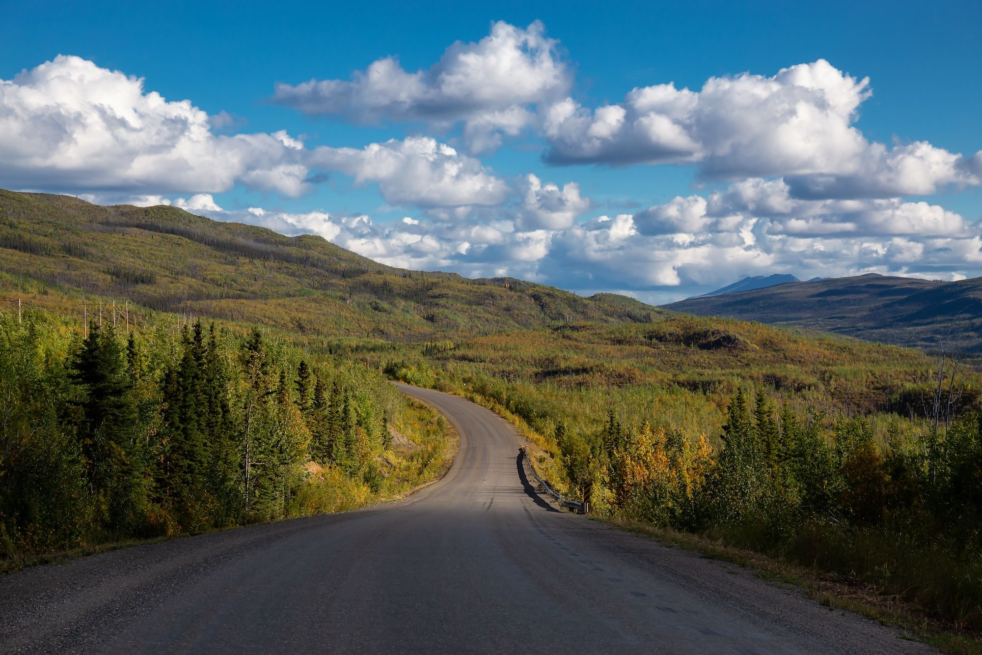 Il paesaggio dalla della Klondike Hwy ©EB Adventure Photography /Shutterstock