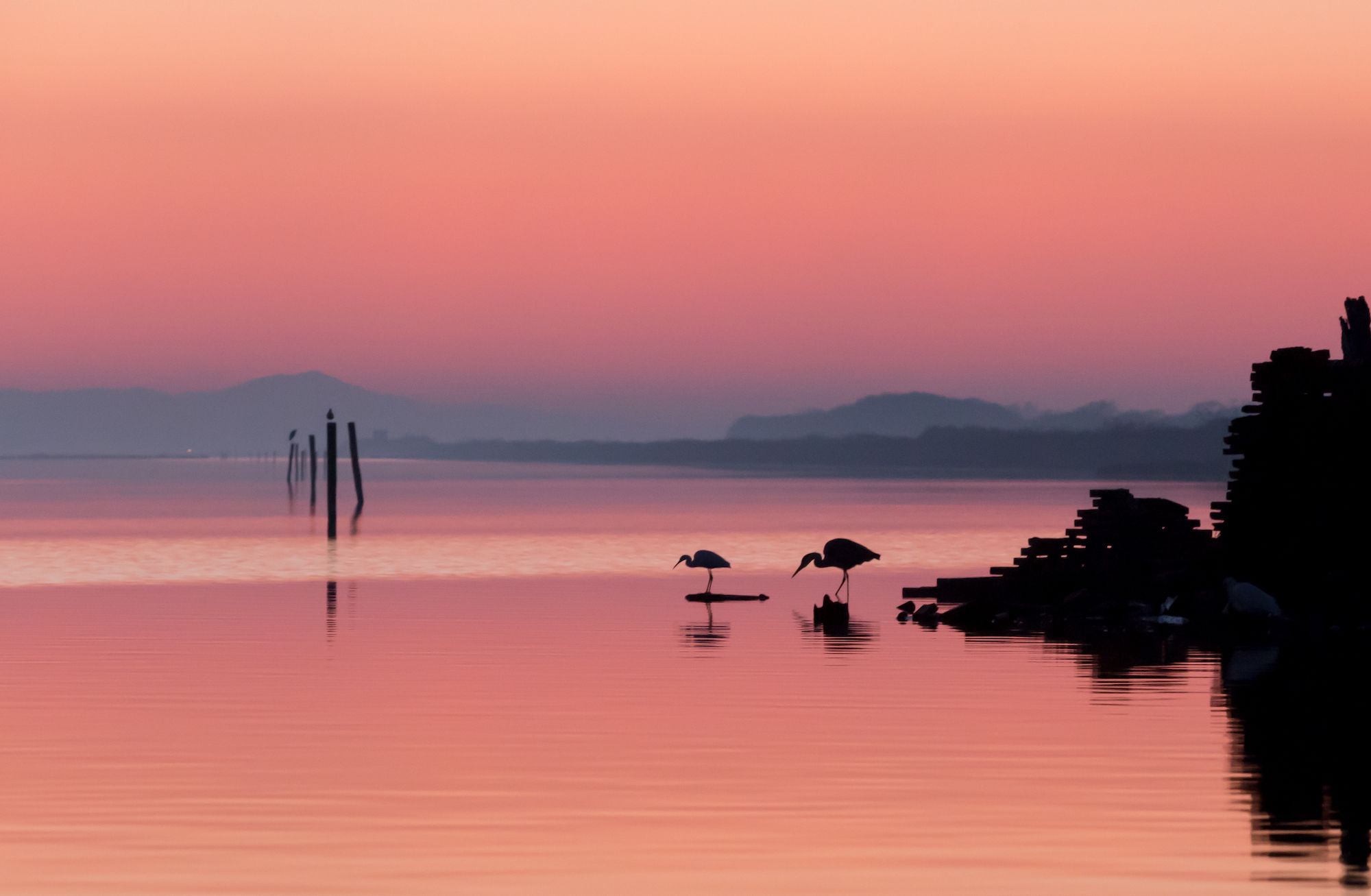 Tramonto nelle valli di Comacchio ©Massimo Valentini