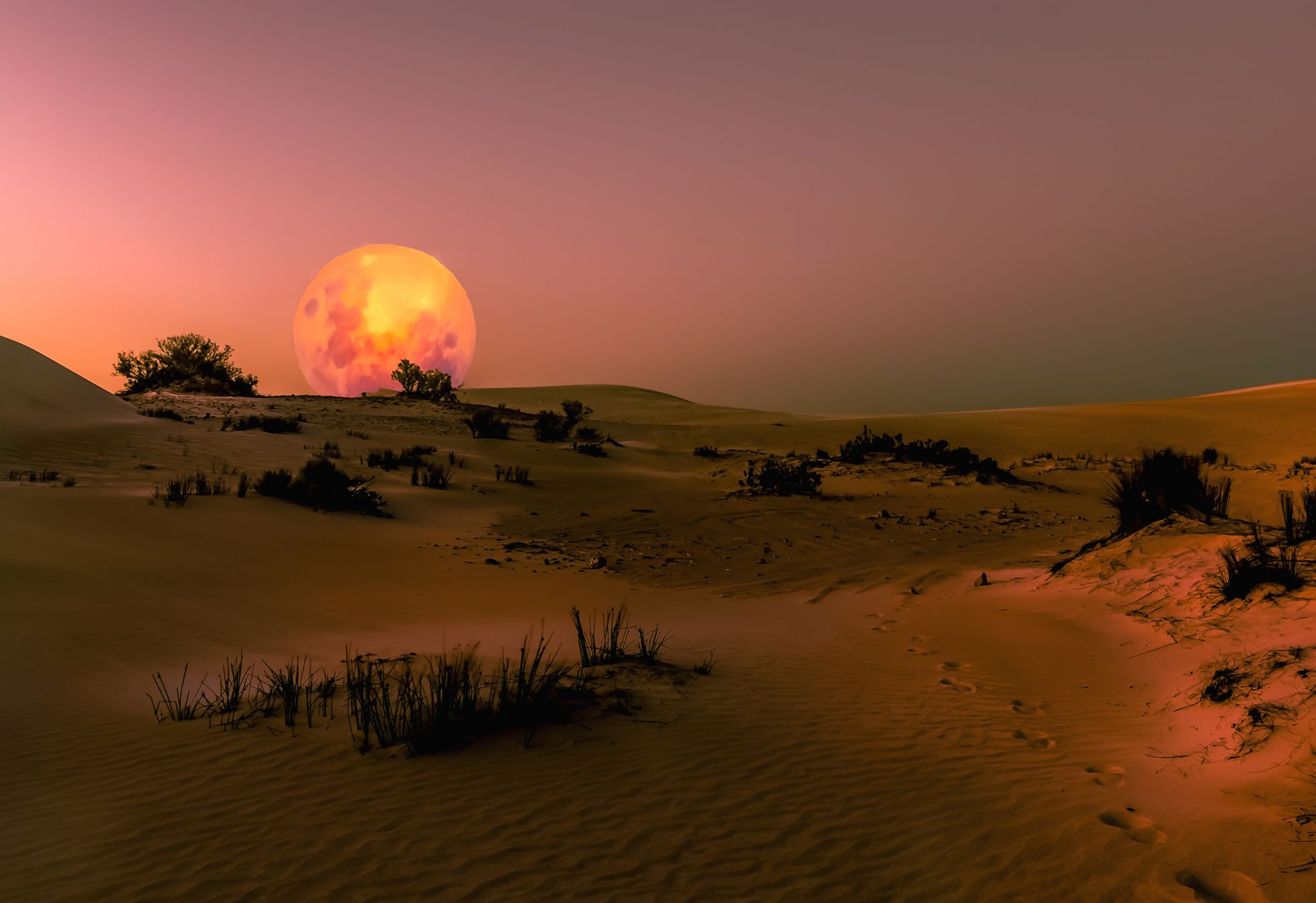 Western Australia, verso l’eclissi di sole. Credits irma ferreira photography / Shuttrstock