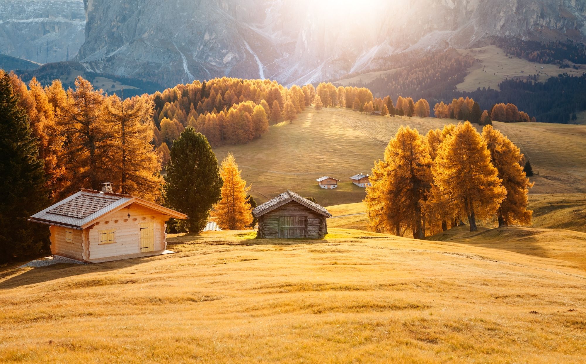 Autunno sull’ Alpe di Siusi © Creative Travel Projects / Shutterstock