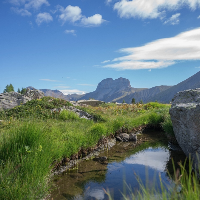 Les Eaux-Tortes, Ubaye. Credits UT Dorian DAOUT