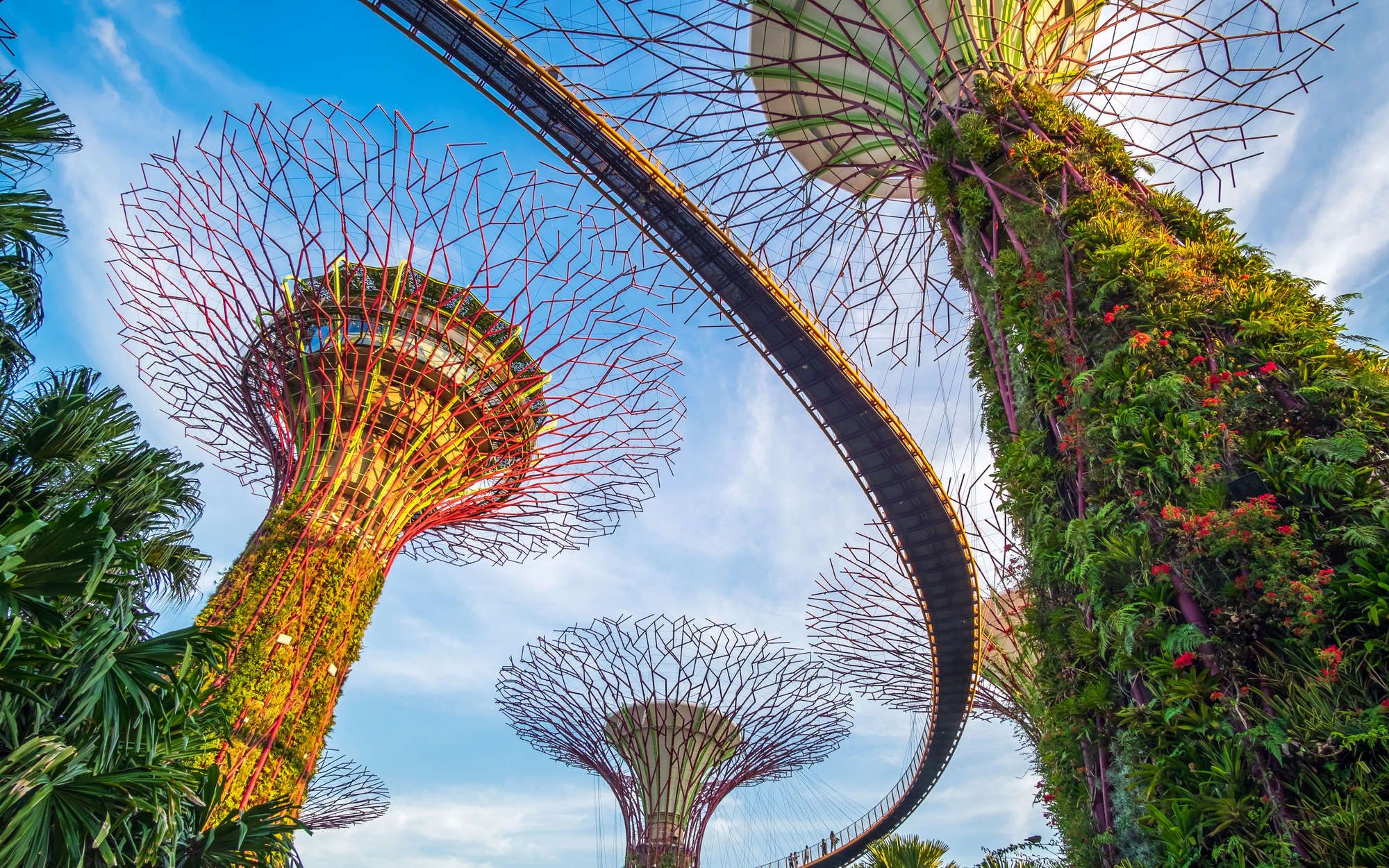 Un particolare dei Gardens by the Bay, Singapore © Twenty20