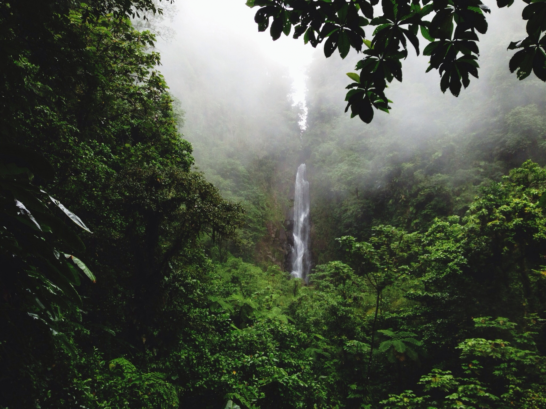 cascate trafalgar, dominica