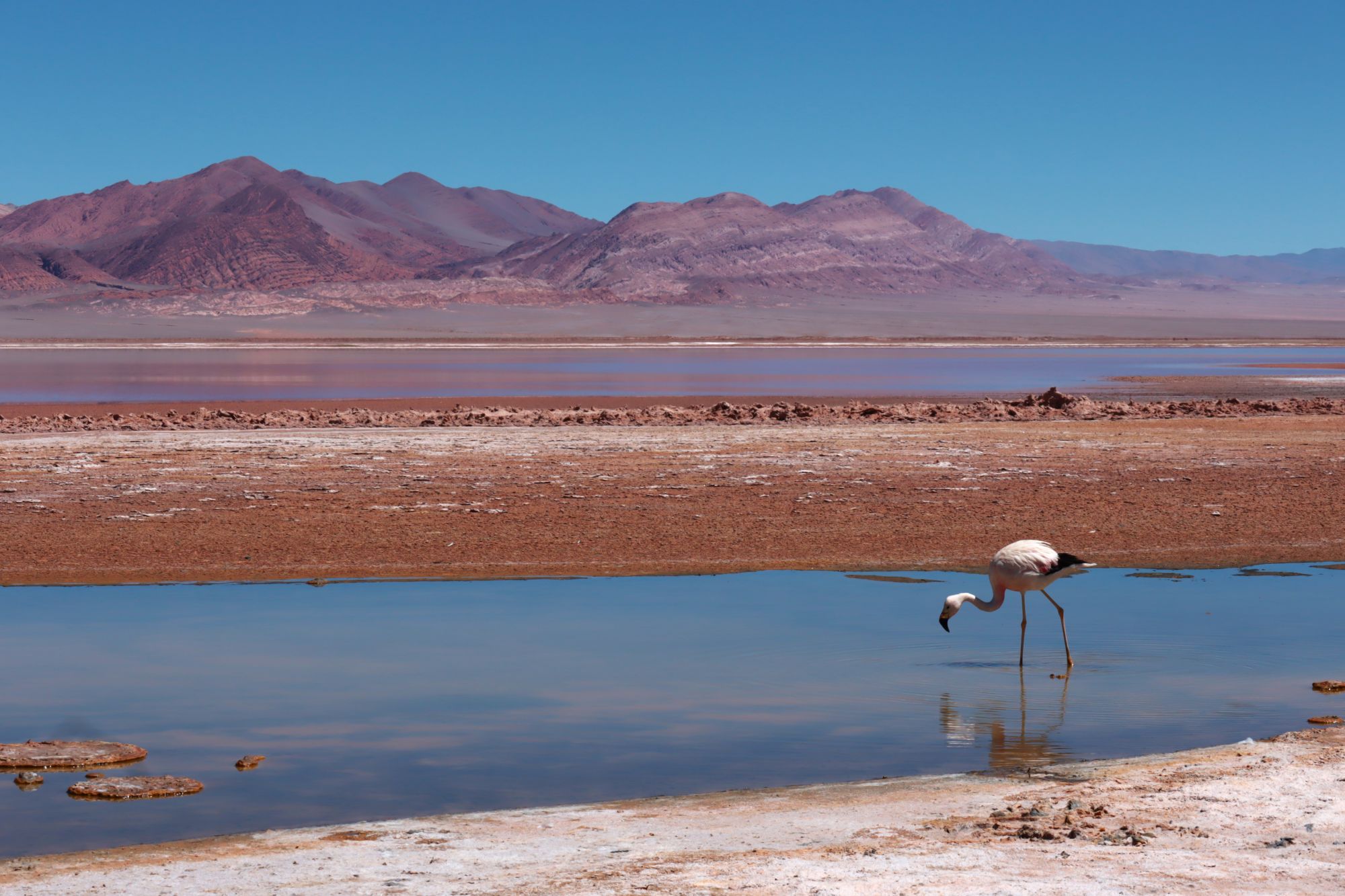 nord ovest argentina