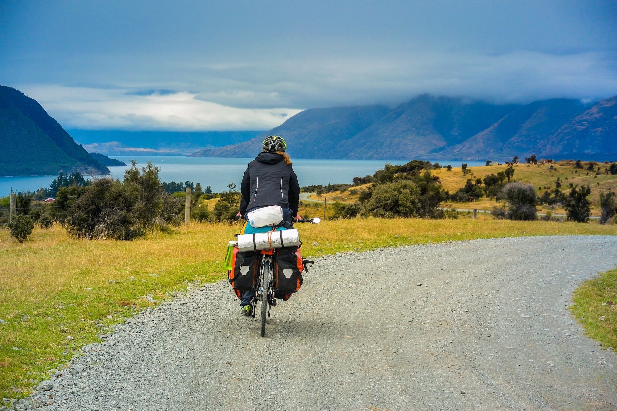 Affrontate il Tour Aotearoa in bicicletta ©Guaxinim/Shutterstock