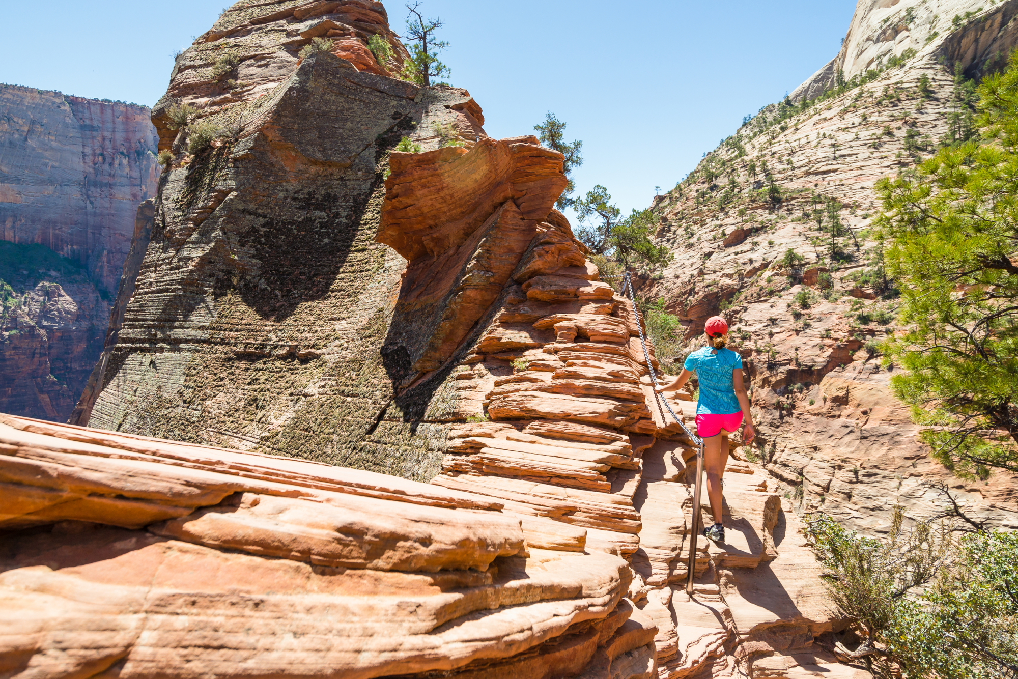 Angels Landing trail nello Zion National Park