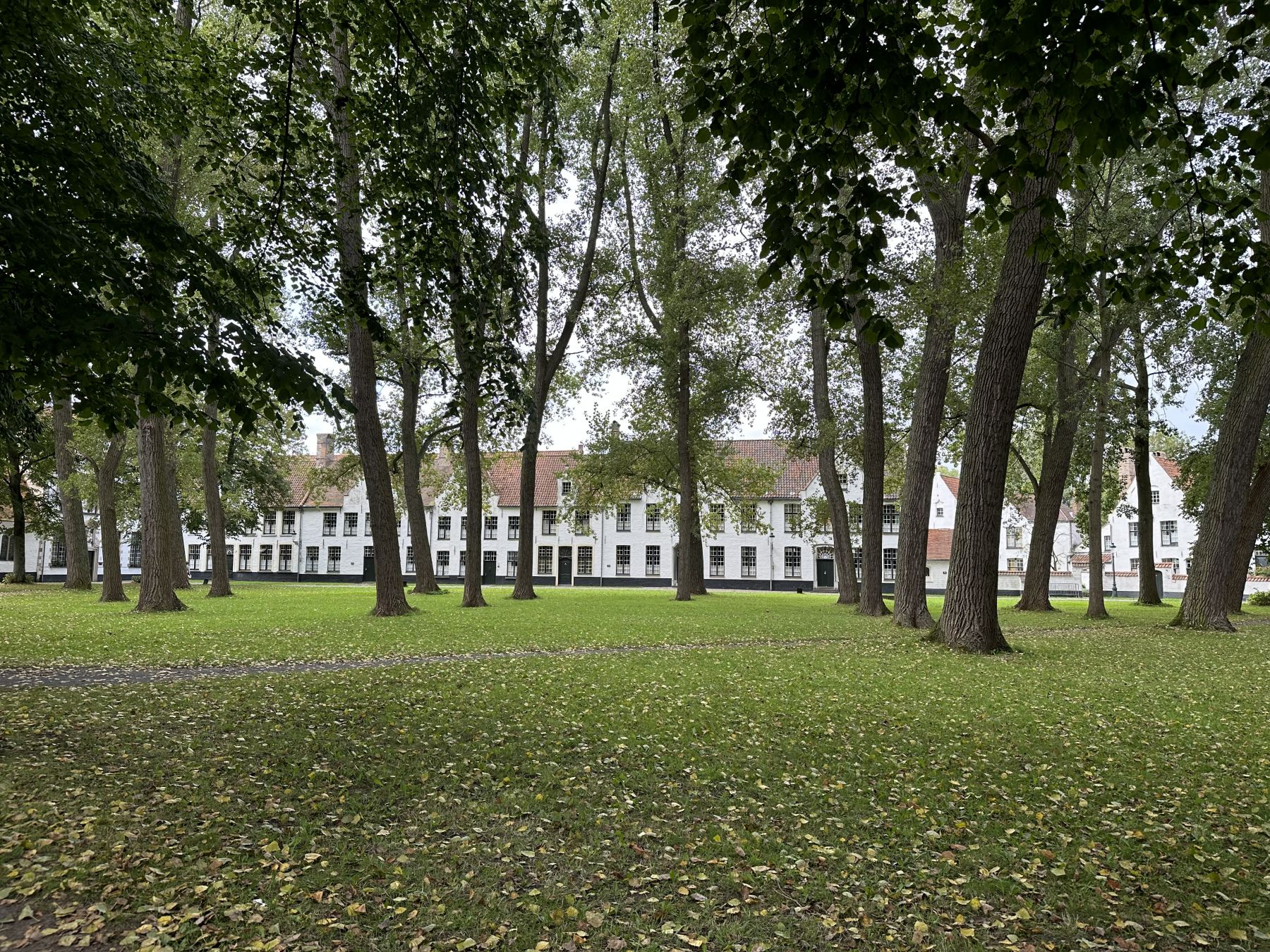 Gli spazi eterei del Begijnhof