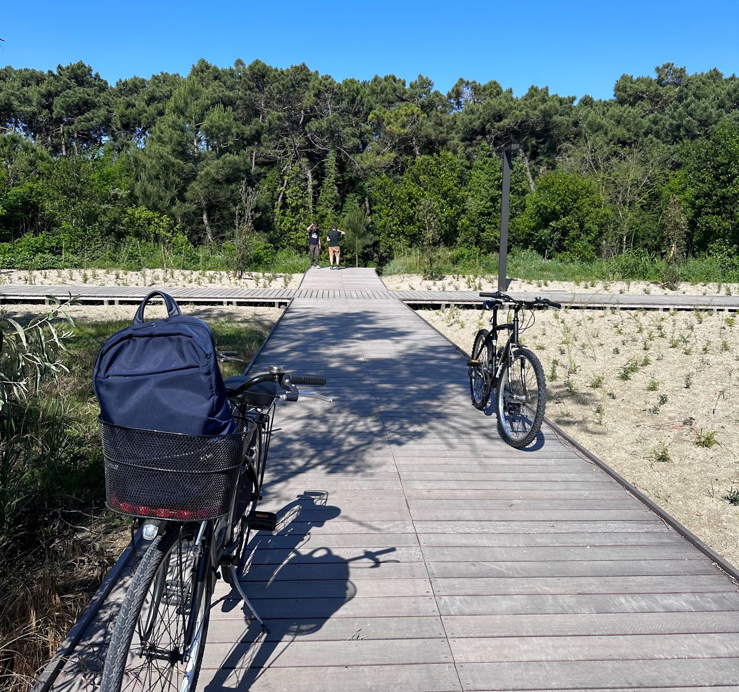 In bici lungo il waterfront di Ravenna