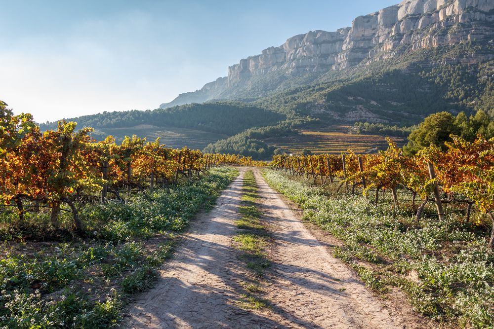 In giro per il Priorat. Credits gregorioa / Shutterstock