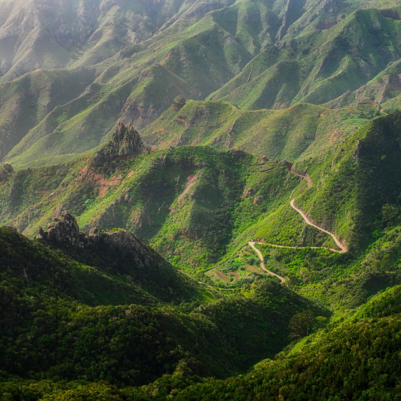 Le colline di Anaga, a Tenerife ©Martin M303/Shutterestock