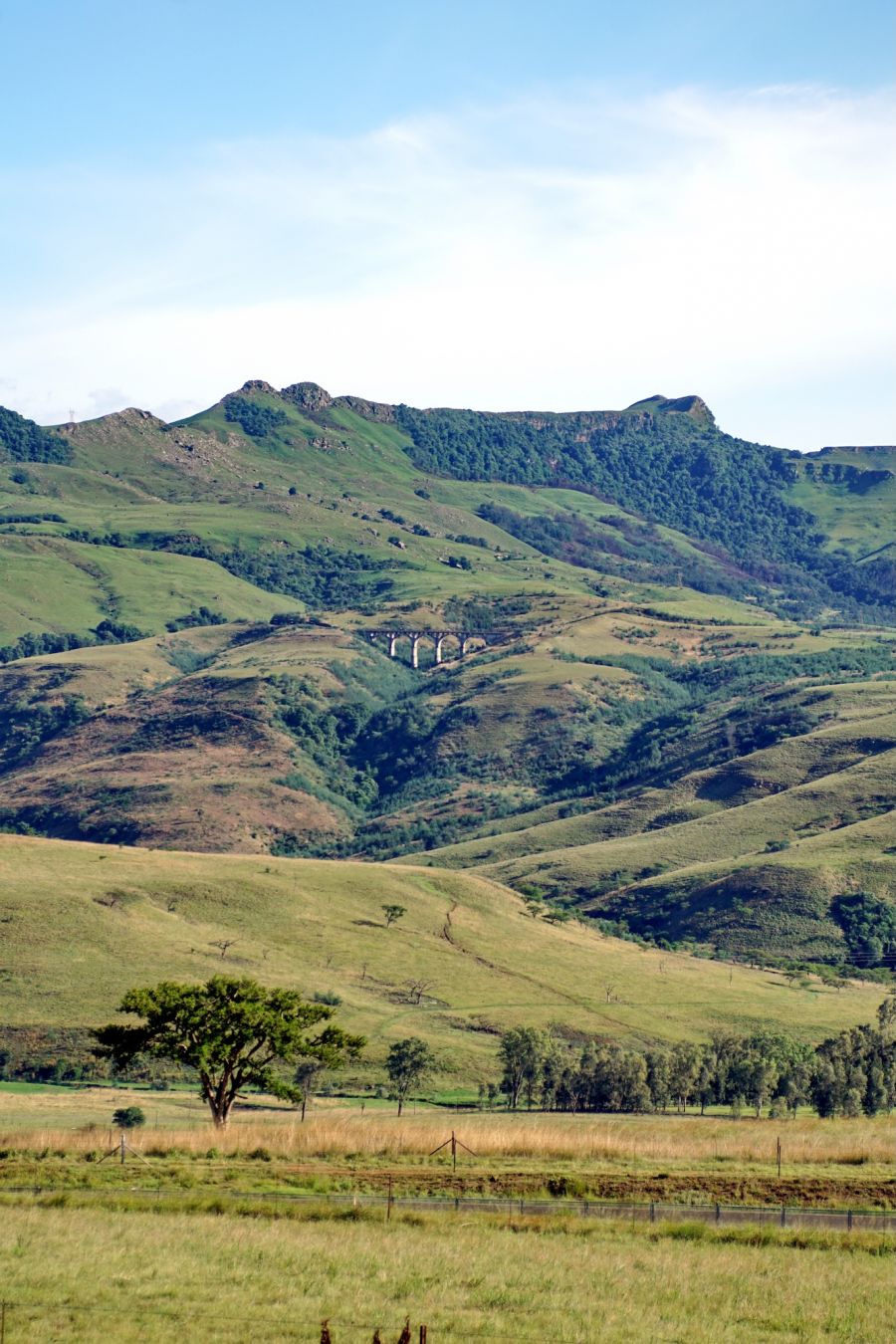 Il paesaggio intorno a Estcourt ©Angela N Perryman / Shutterstock