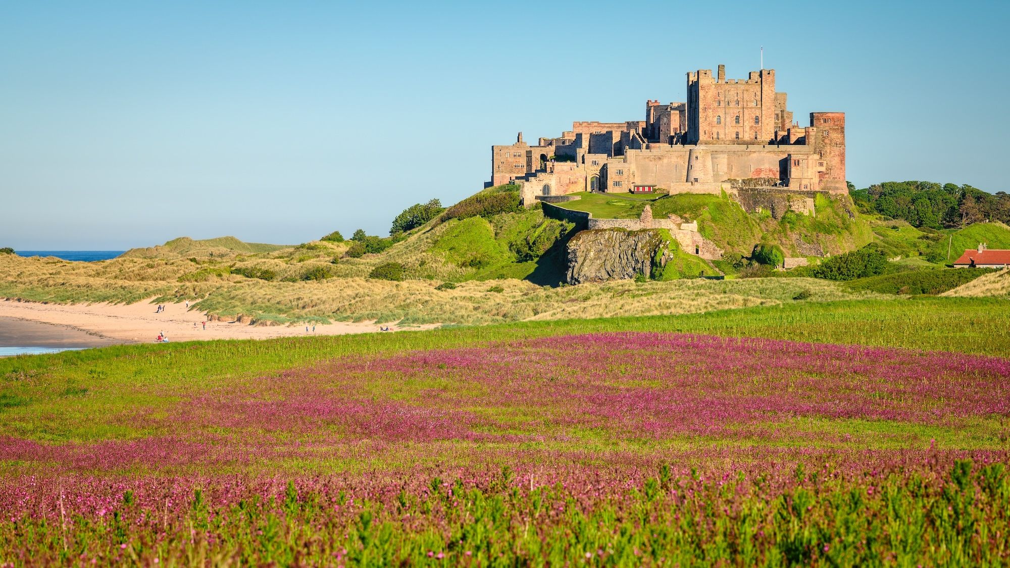 Tra castelli e brughiera nel Northumberland © Dave Head / Shutterstock