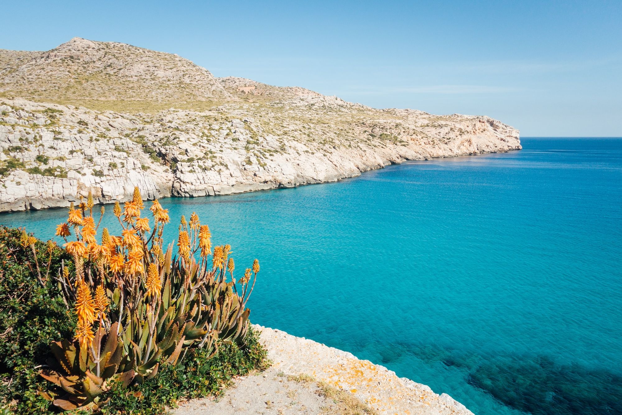 Maiorca è una delle principali mete ʼnaturalisticheʼ del Mediterraneo ©David BISE/Shutterstock