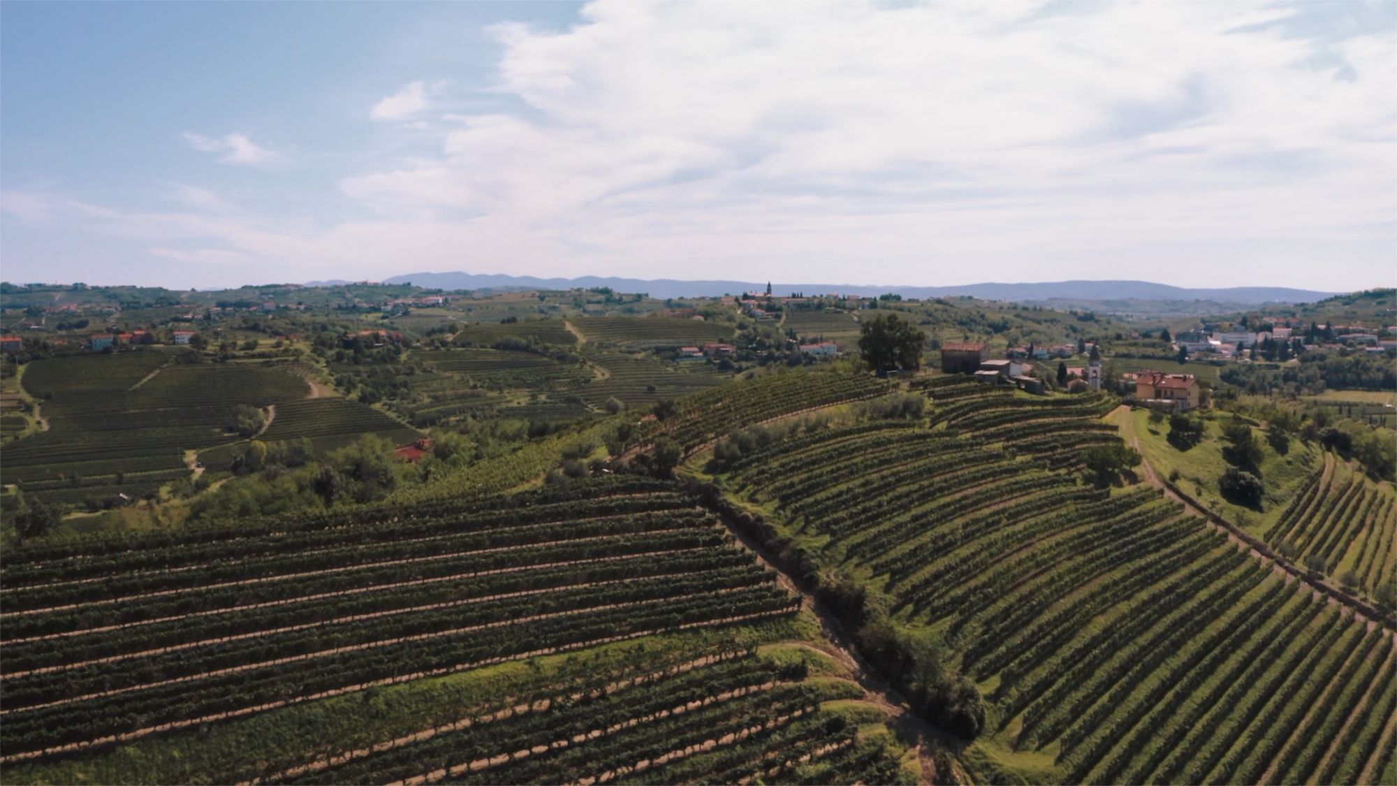 Le colline del Brda © Luca Schilirò, Lonely Planet Italia