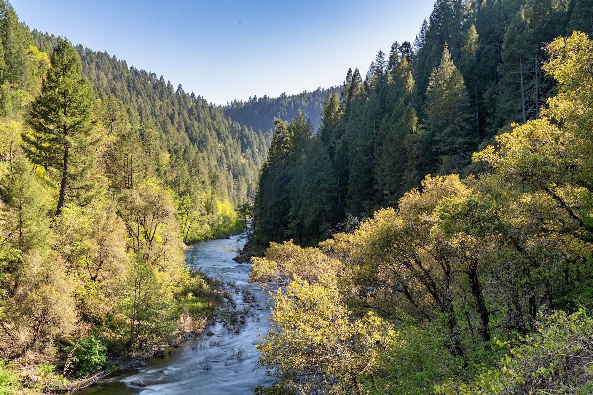 Il paesaggio lungo lo Yuba River ©Wasim Muklashy /Shutterstock