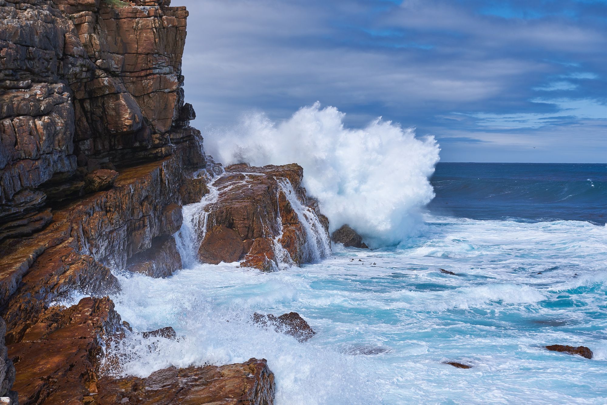 Capo di Buona Speranza, Sudafrica