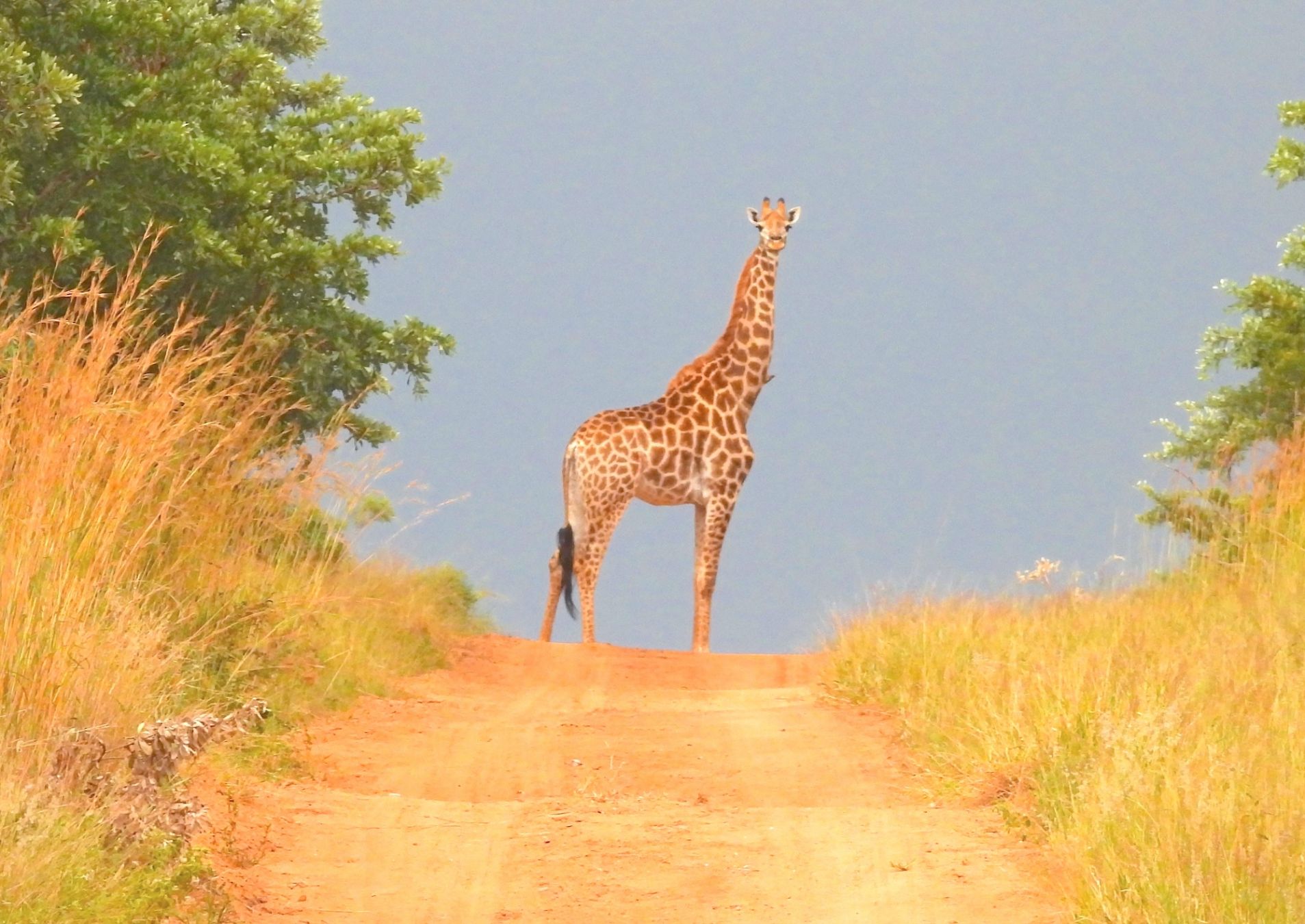 Stare nella natura ci costringe a uscire dalla nostra mente e a calarci nel momento ©Brian Stuart Nel /Shutterstock
