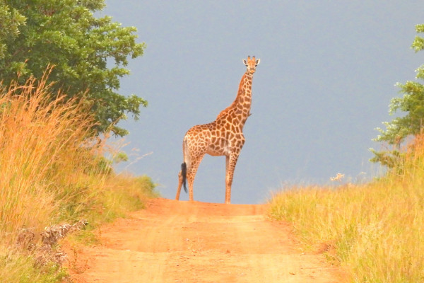 Stare nella natura ci costringe a uscire dalla nostra mente e a calarci nel momento ©Brian Stuart Nel /Shutterstock