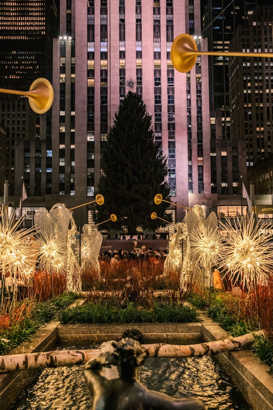 L’albero e le luci di quest’anno © Leo Ramos/Shutterstock