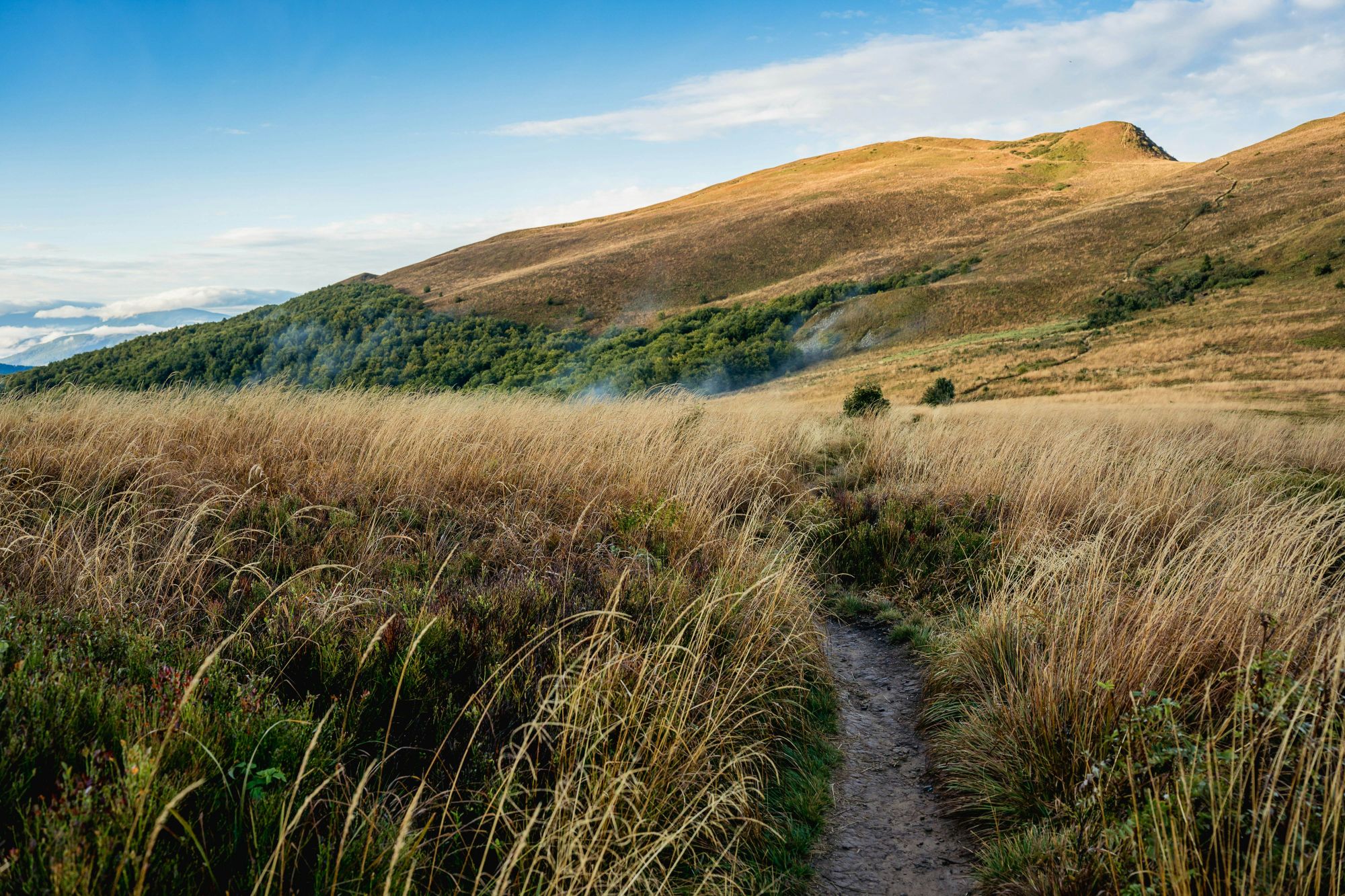 Il profilo del Monte Tarnica, nel Parco Nazionale di Bieszczady . © Snowboy/Getty Images