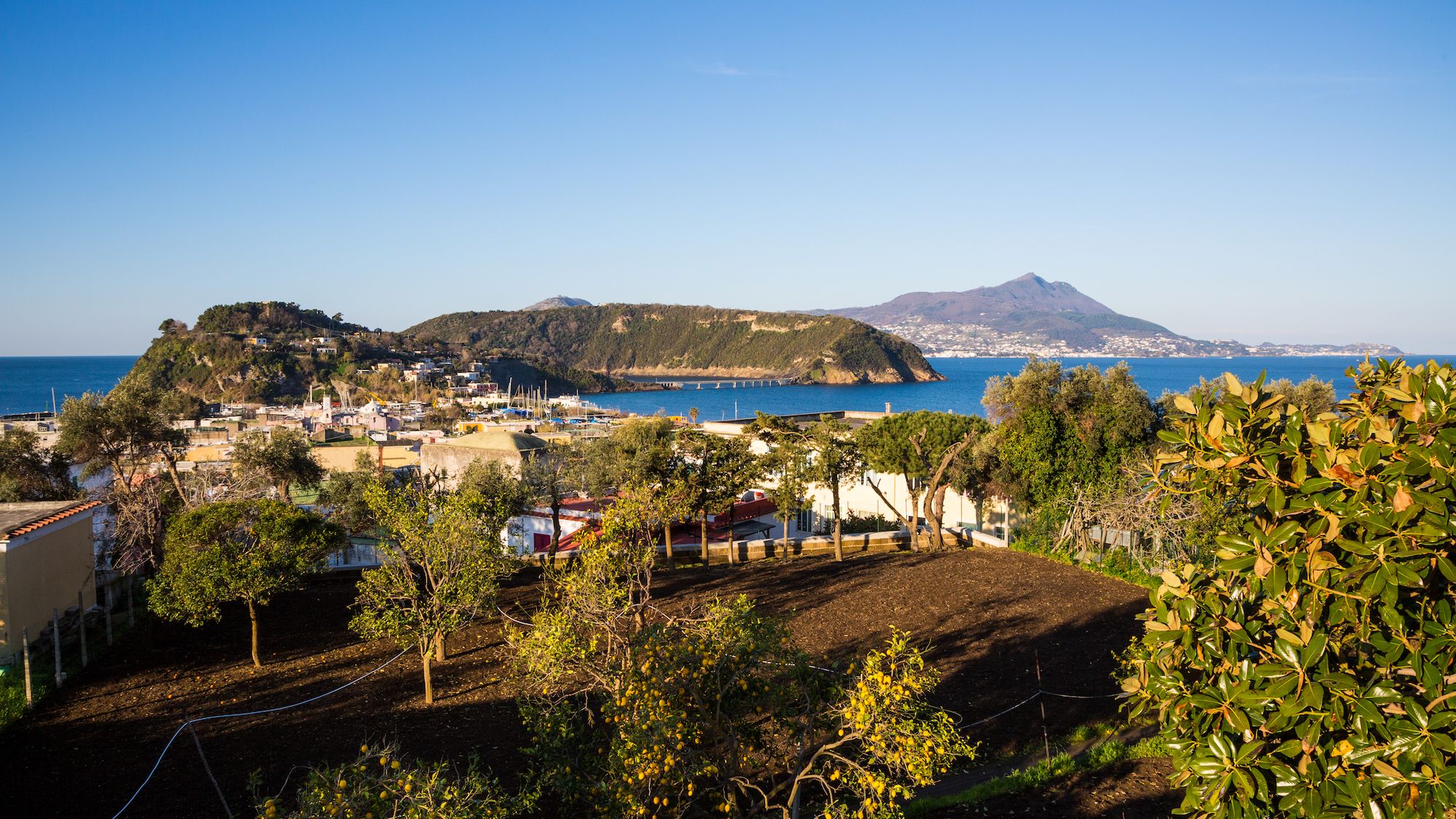 Vivara, con Marina di Chiaiolella davanti e Ischia sullo sfondo