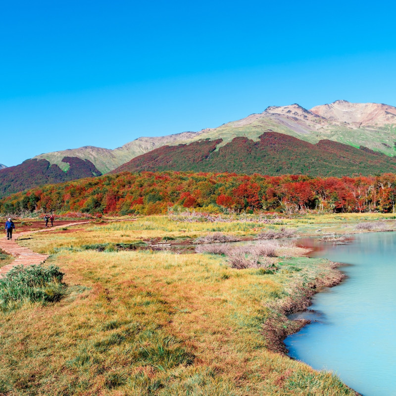 Autunno nella Terra del Fuoco ©Oleg Senkov /Shutterstock
