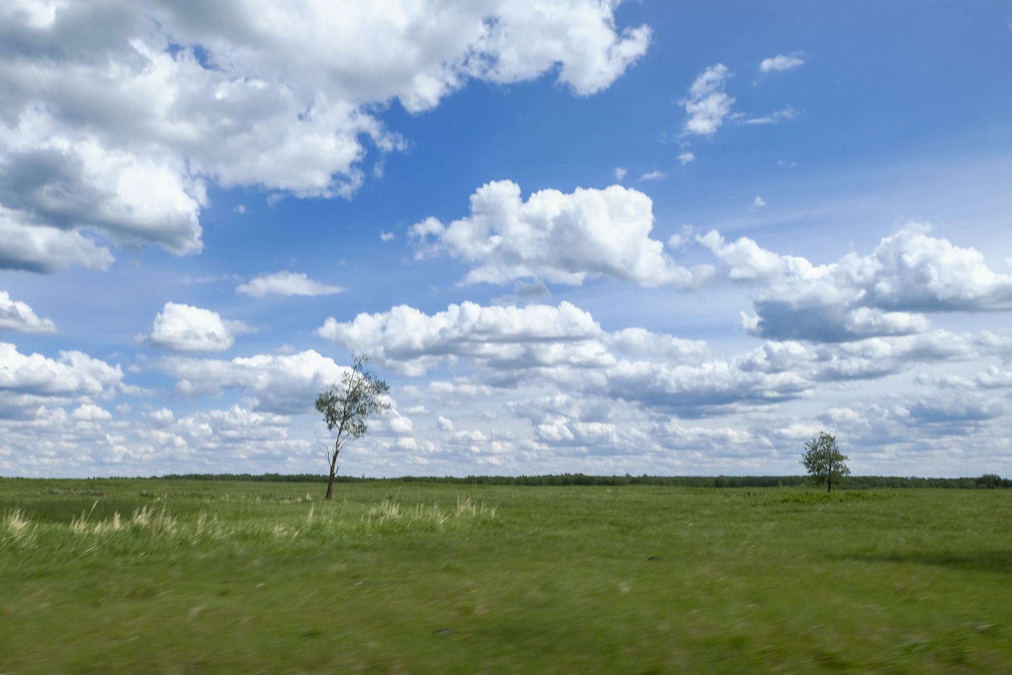 Elk Island National Park ©Lisa Zillo/lonely Planet Italia