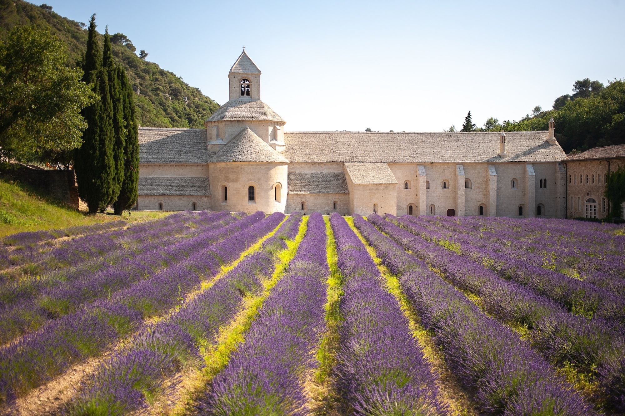 L’Abbaye Notre-Dame De Sénanque ©Gulya D/Shutterstock