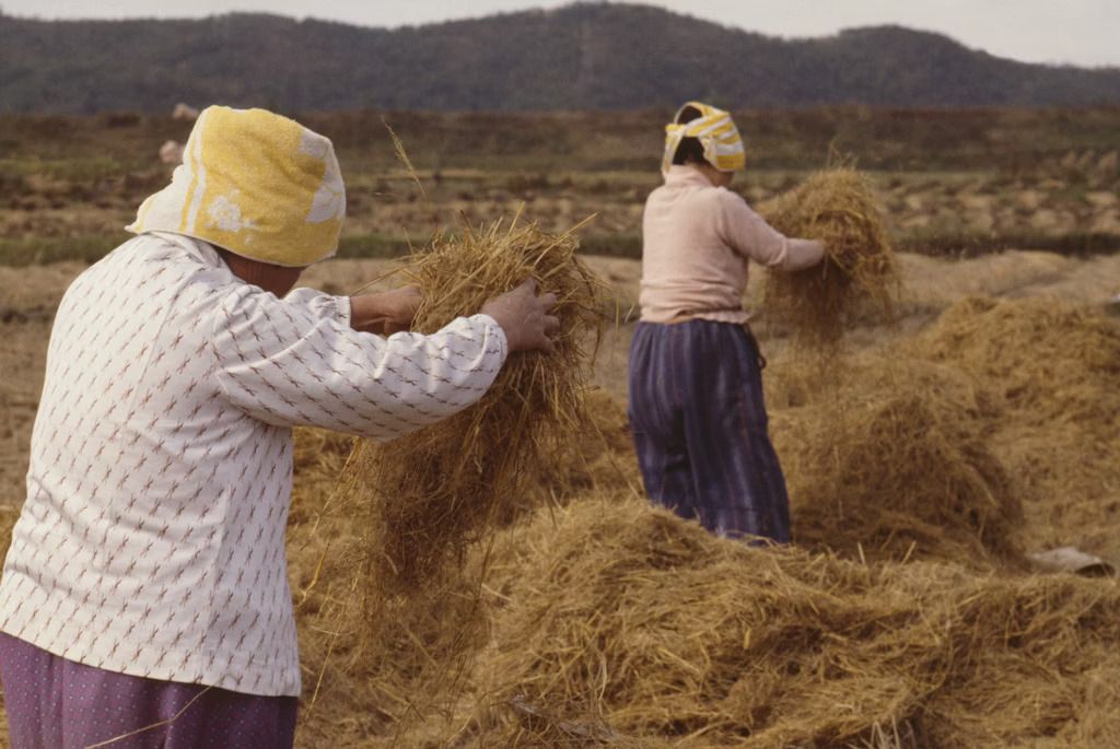 Al di fuori delle città troverete la corea più tradizionale, regolata da ritmi d’altri tempi © Grant Faint / Getty Images