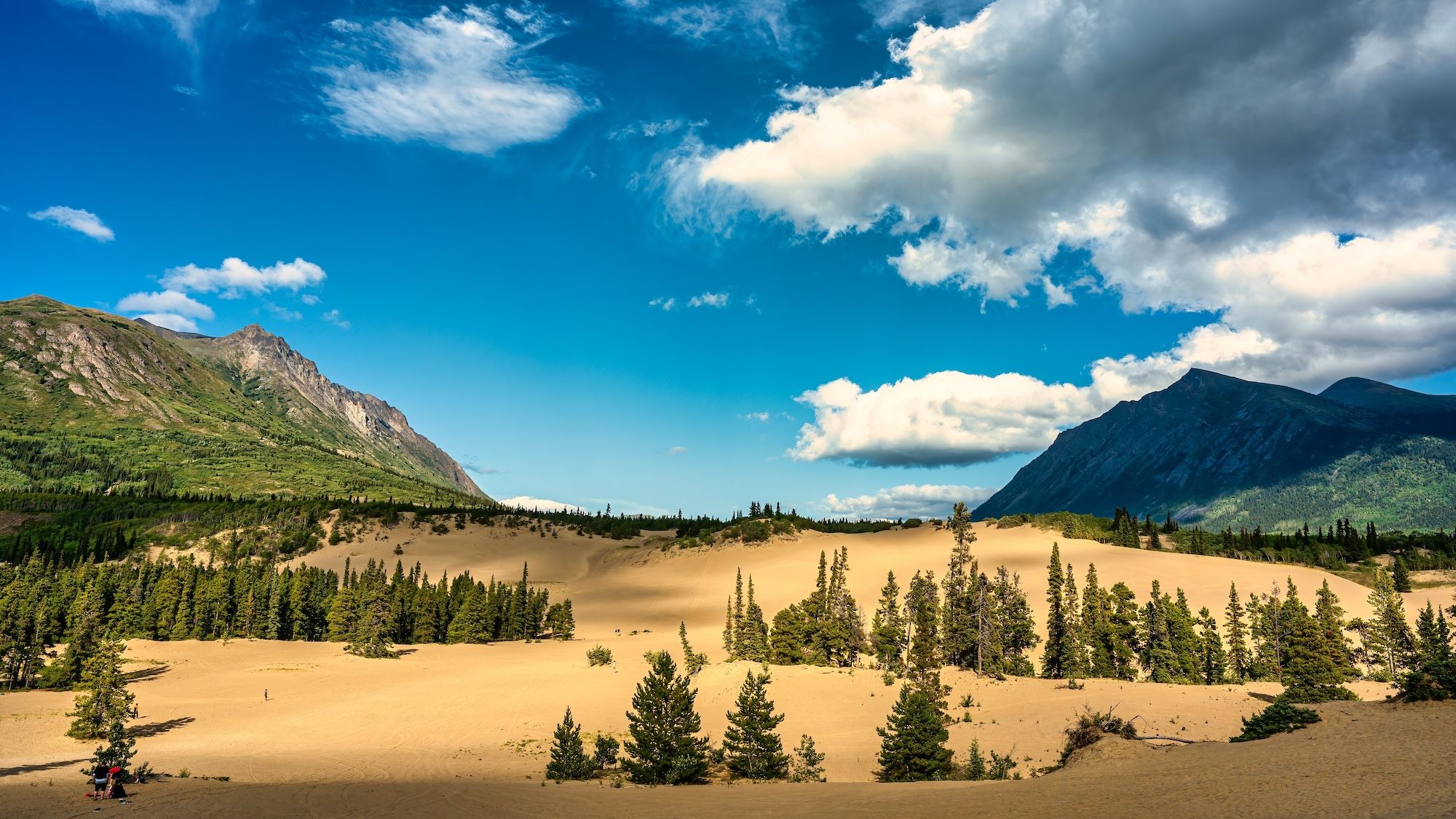 Il Carcross Desert è considerato il più piccolo deserto al mondo,©Mark-Wu /Shutterstock