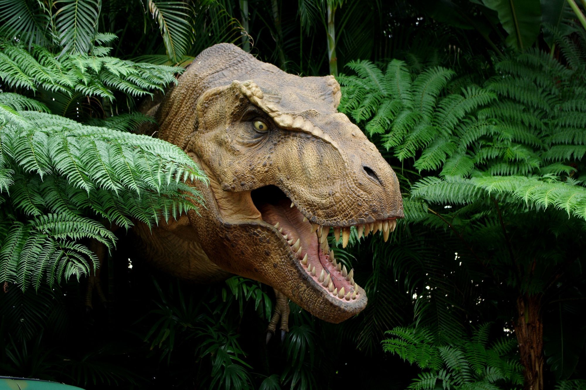 Chi ha paura del T-rex? ©Redfox1980