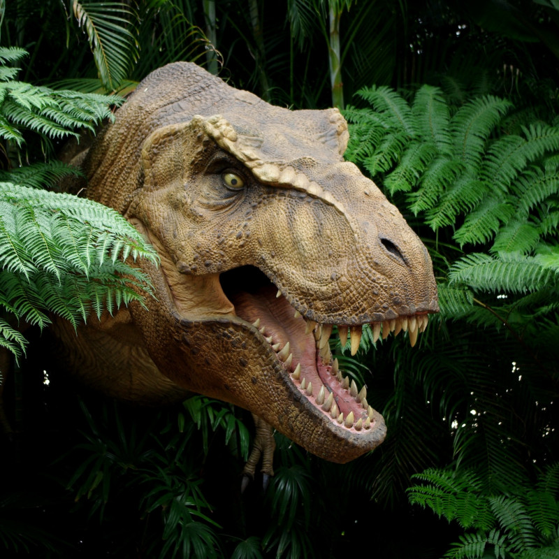 Chi ha paura del T-rex? ©Redfox1980
