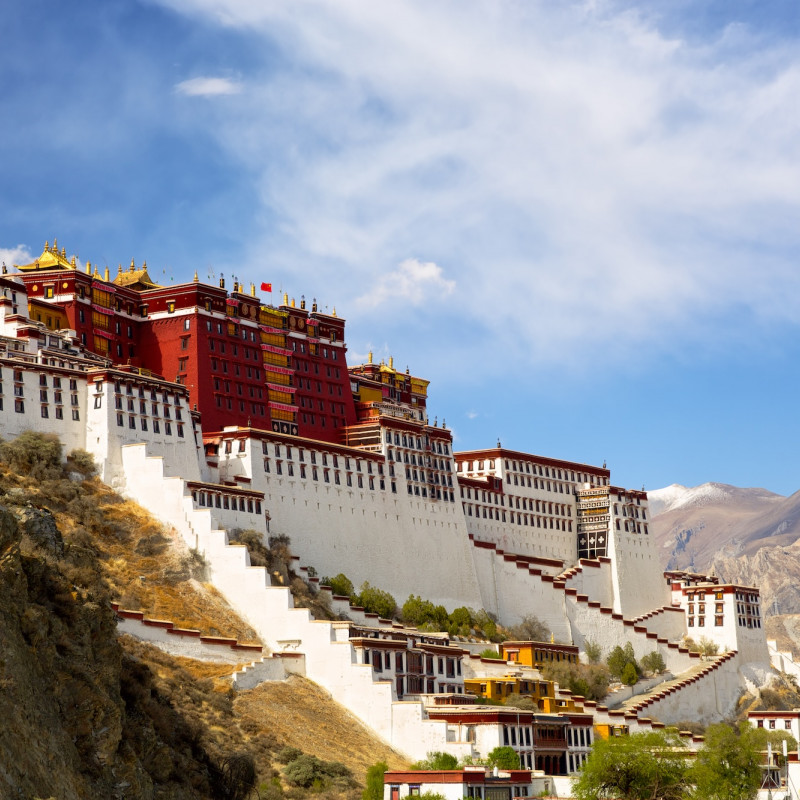 Il Potala, già dimora del Dalai Lama ©dibrova  / Shutterstock
