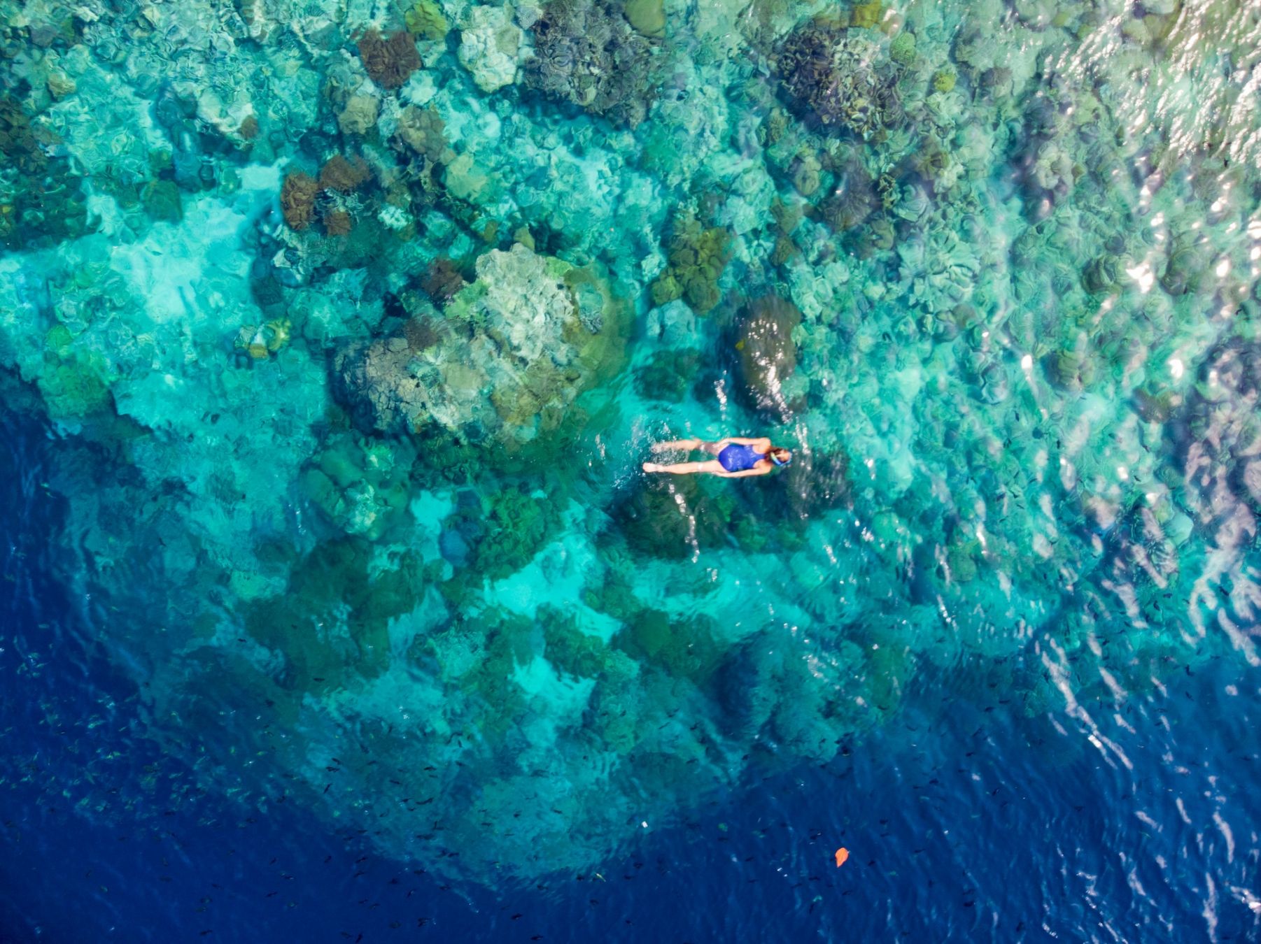 Snorkelling a Pulau Hatta ©Fabio Lamanna /Shutterstock