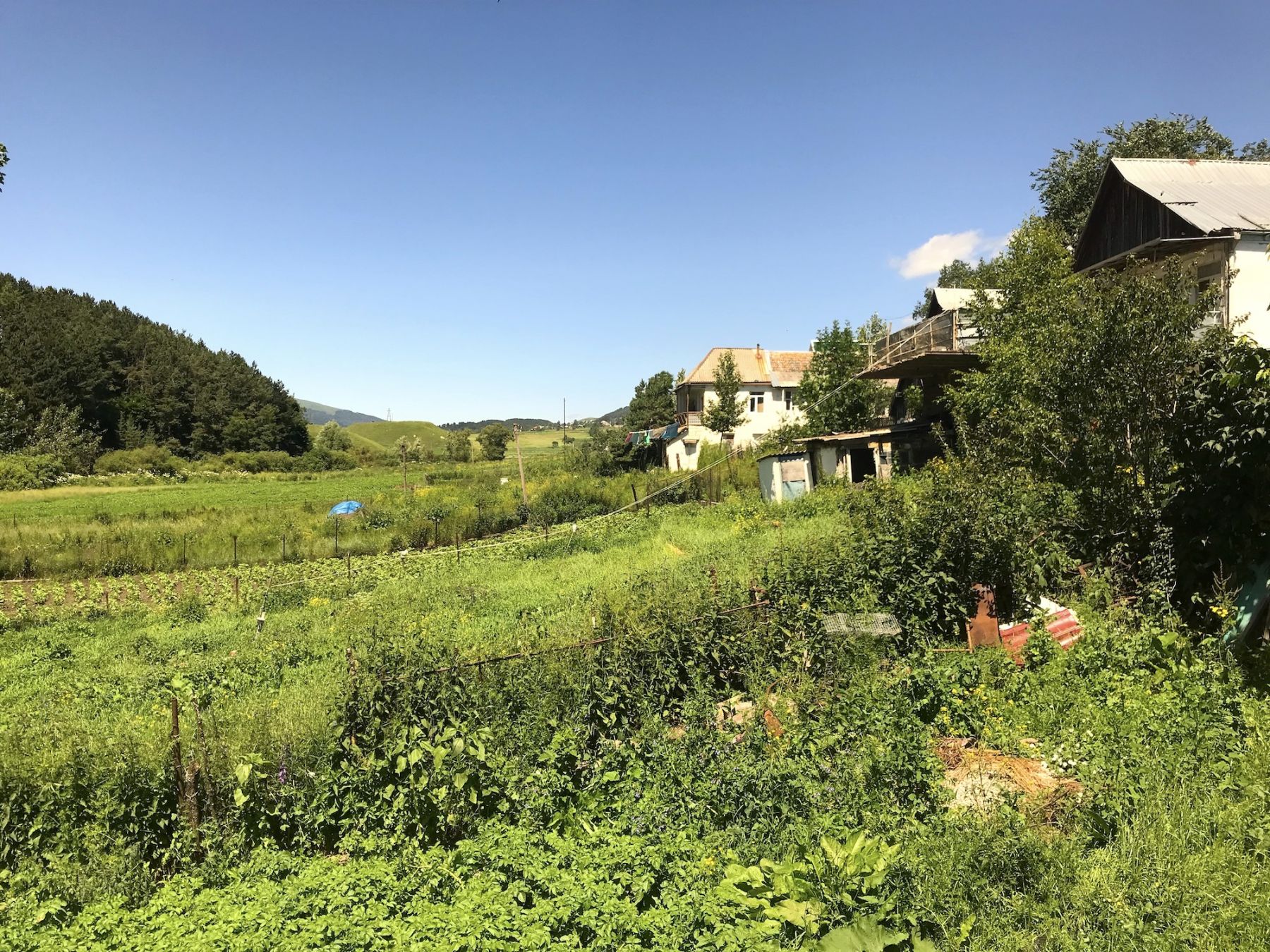 Le campagna di Fioletovo© Photo Dario Bragaglia