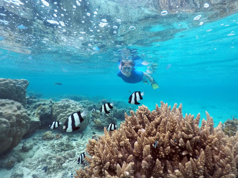 Isole Cook, paradiso anche per lo snorkelling
