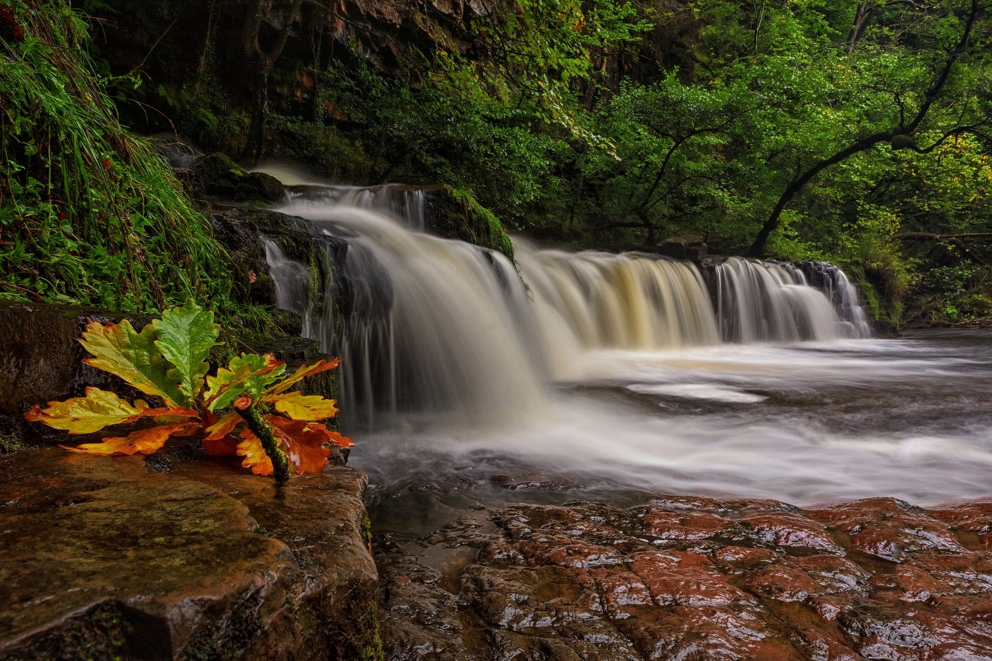 Le cascate Lower Ddwli Falls in Galles ©Neil Holman/Shutterstock