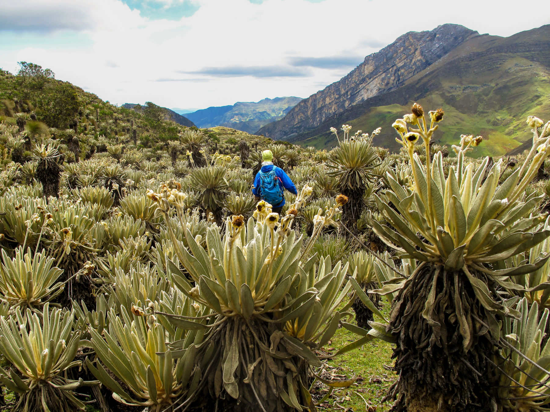 Trekking nel remoto Parque Nacional Natural El Cocuy© Shutterstock
