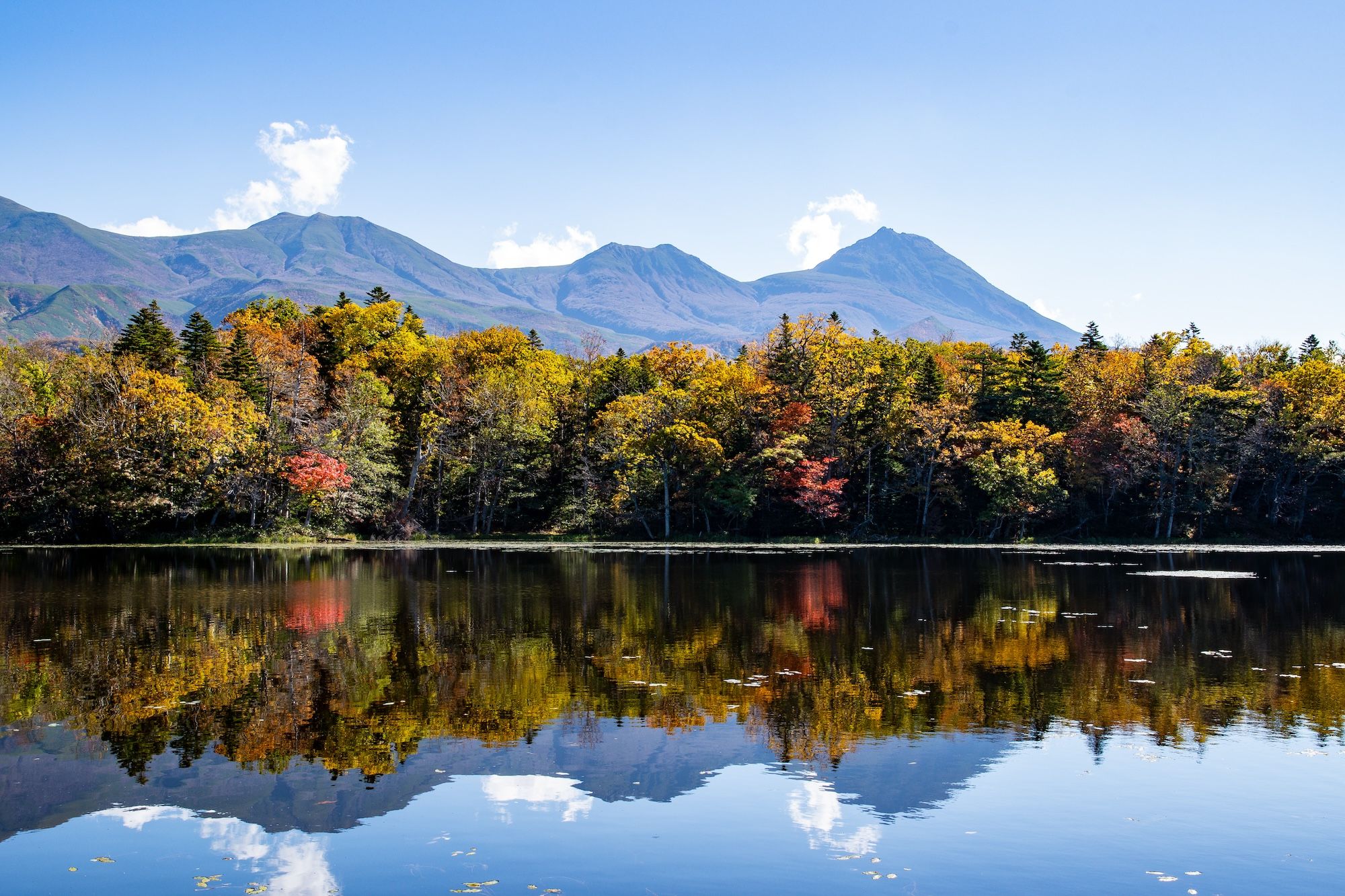 Il lago Goko nel nel Parco Nazionale di Shiretoko @Tatsuo Nakamura /Shutterstock