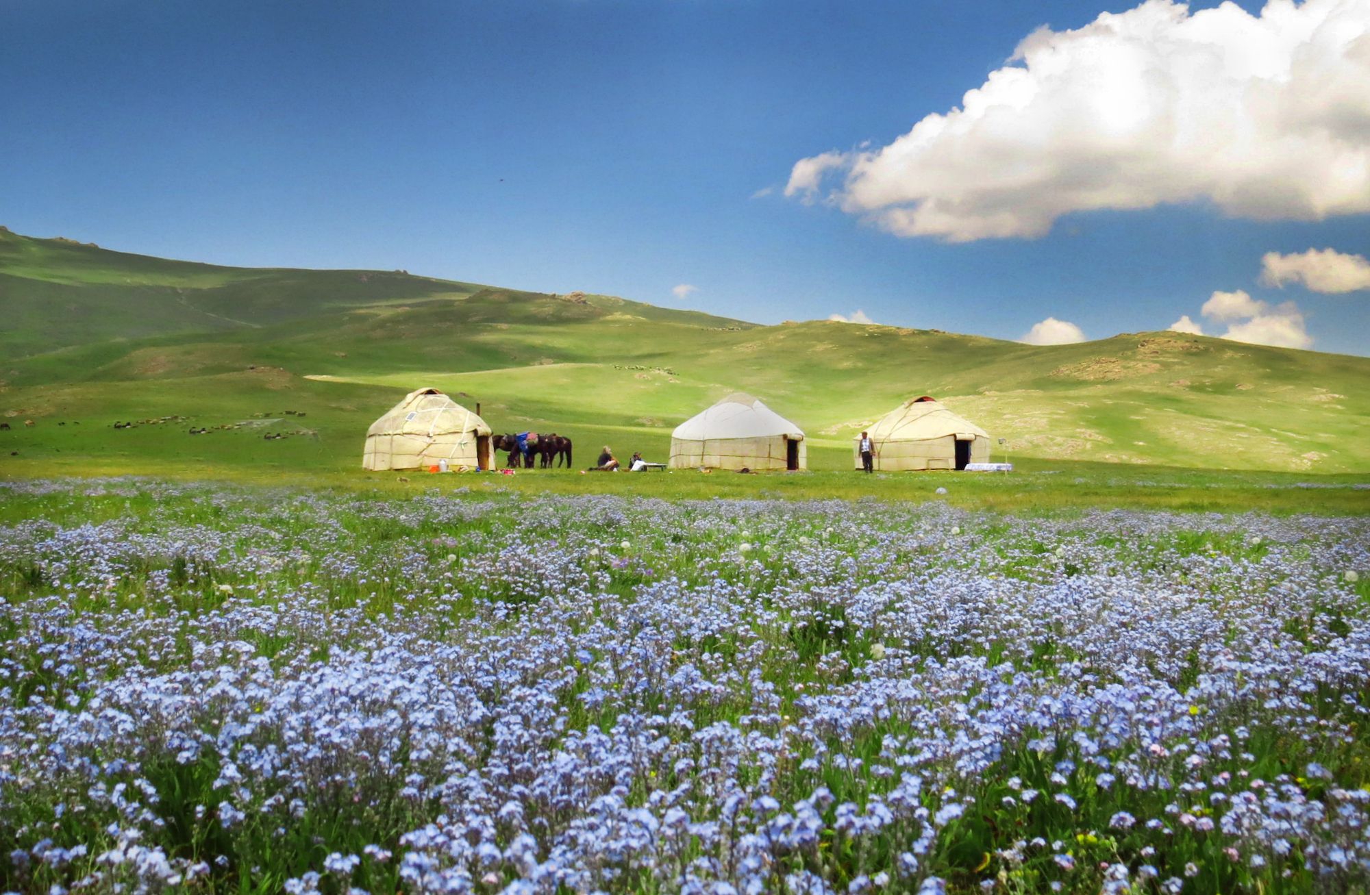 Alcune yurte, in Kirghizistan ©bajla marija