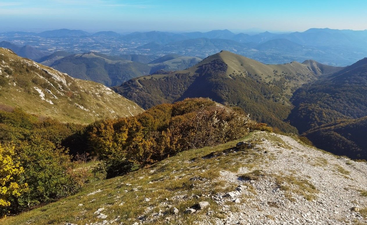 Nel parco del Monte Cucco. Credits Buffy1982 / Shutterstock