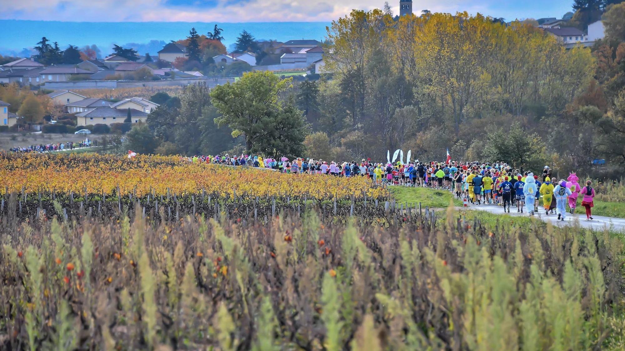 La Marathon du Beaujolais © Morgan Bove