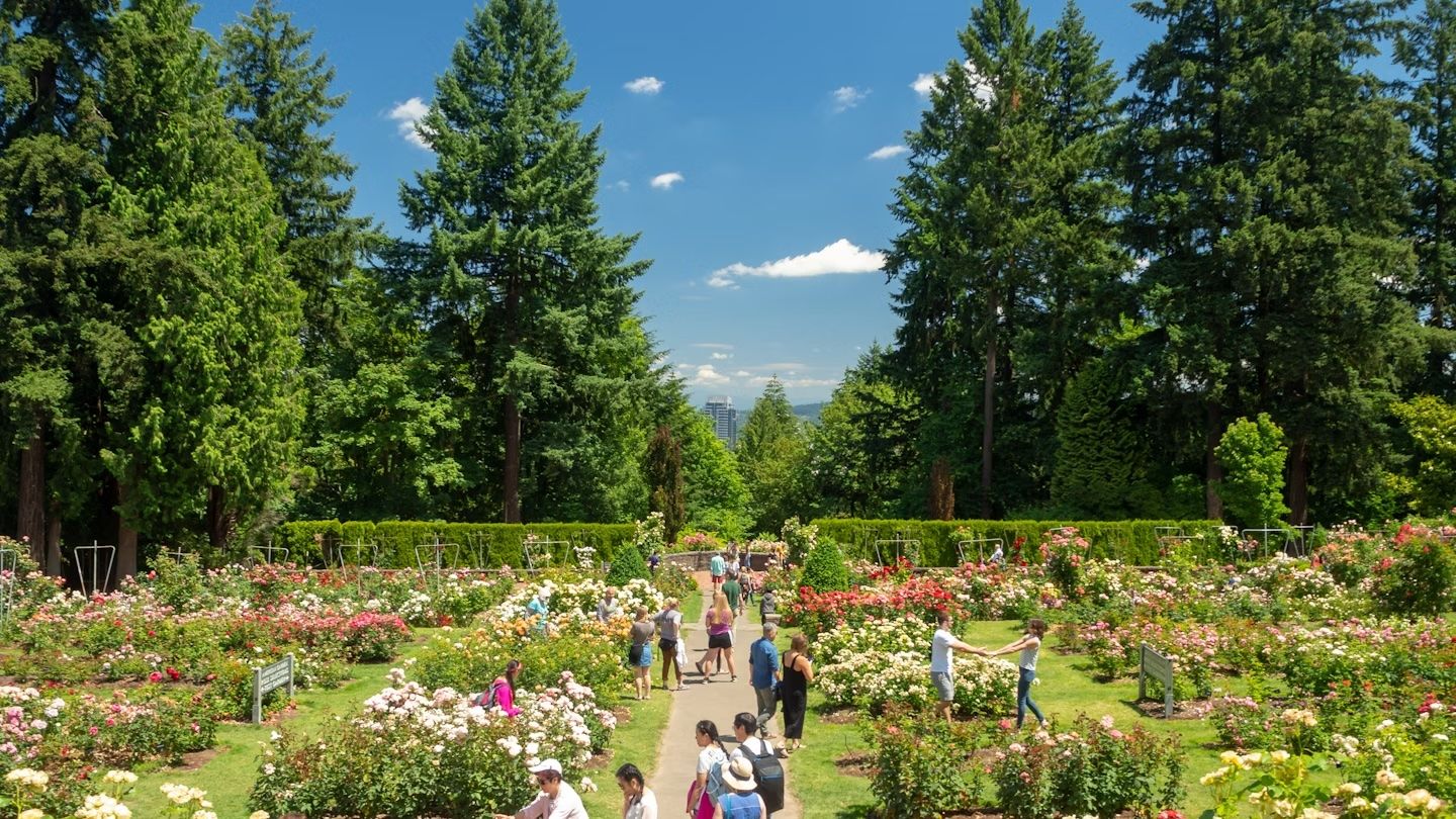 Degustazione di vini, gita sugli sci o soggiorno urbano? Ecco i consigli utili su quando andare in Oregon © Jakub Zajic / Shutterstock