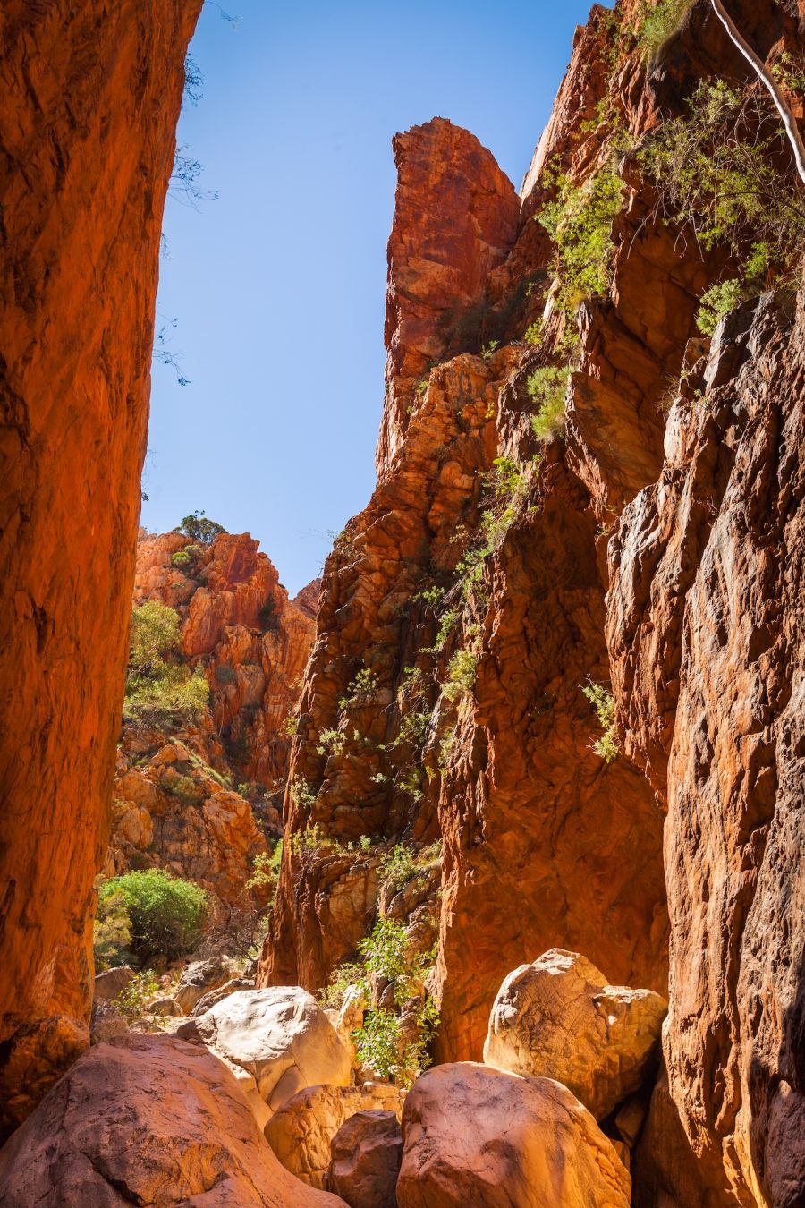 È a Standley Chasm che il trekking entra davvero nel vivo ©Maurizio De Mattei /Shutterstock