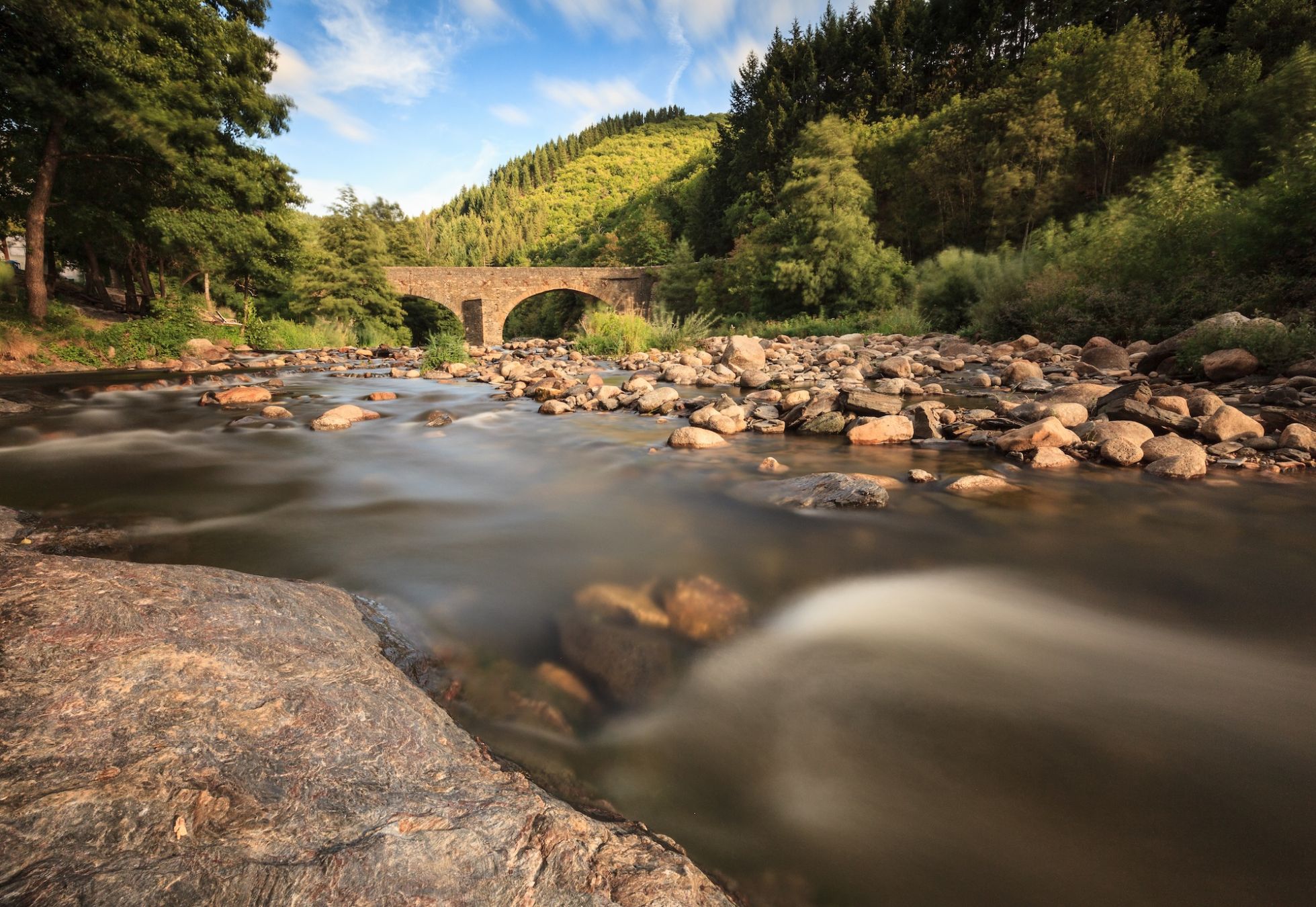 Respirate a pieni polmoni l’aria che profuma di timo: siete nelle
Cévennes © Jan Sienkiewicz / Shutterstock