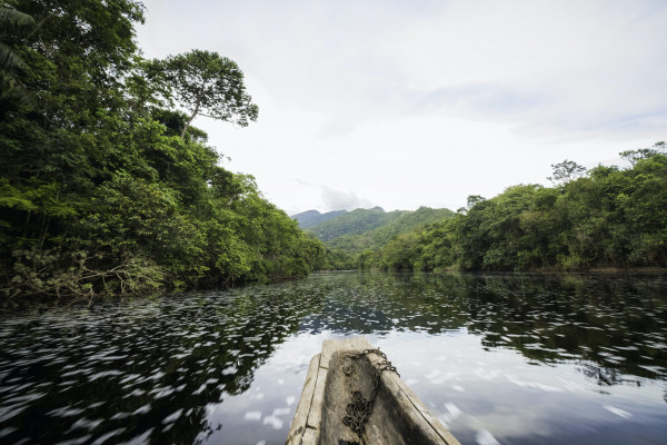 Circa il 95% del territorio della Guyana è costituito da natura selvaggia © Douglas Olivares / Getty Images