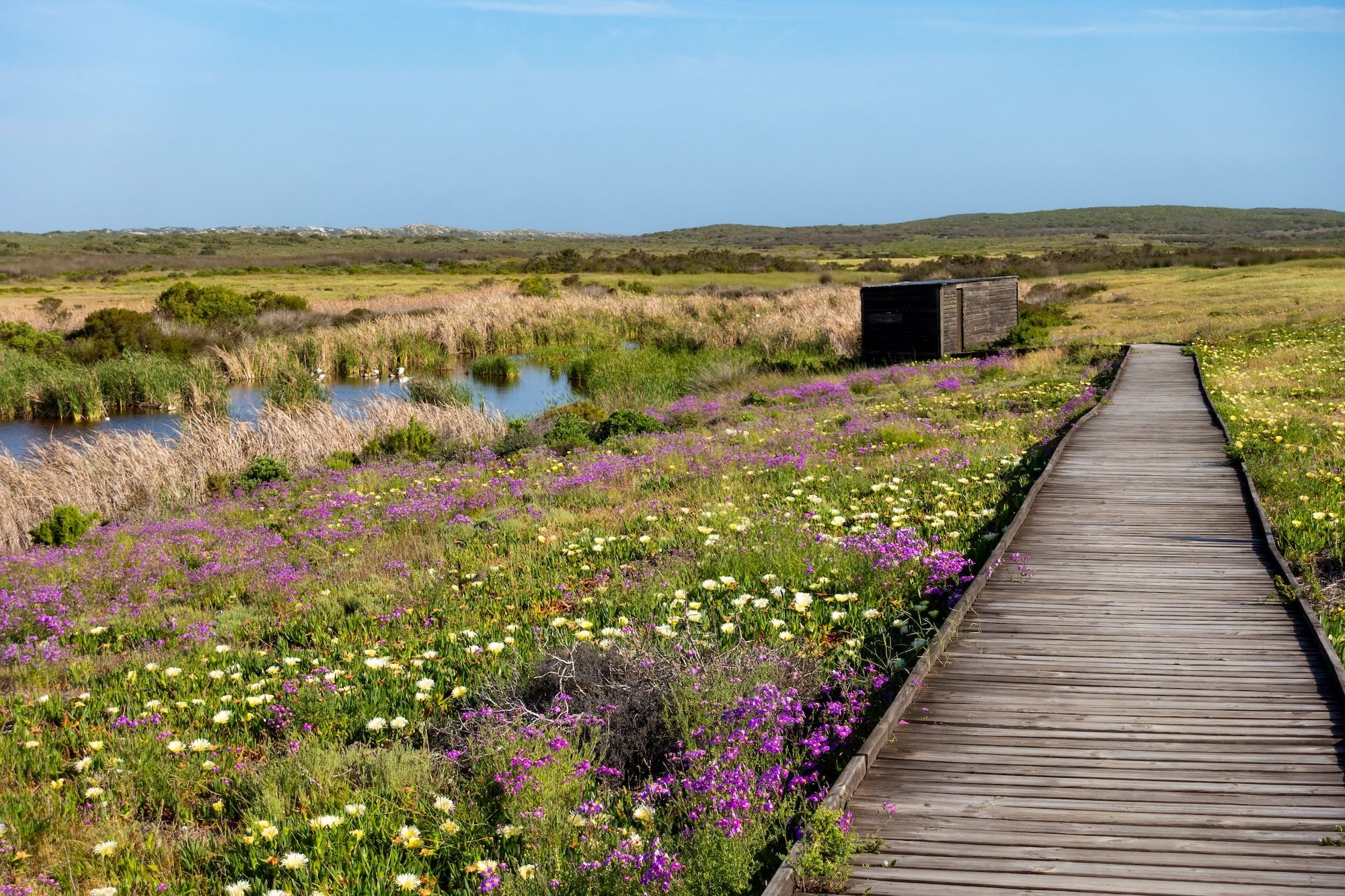 L’Abrahamskraal bird hide nel West Coast National Park ©Roger de la Harpe /Shutterstock