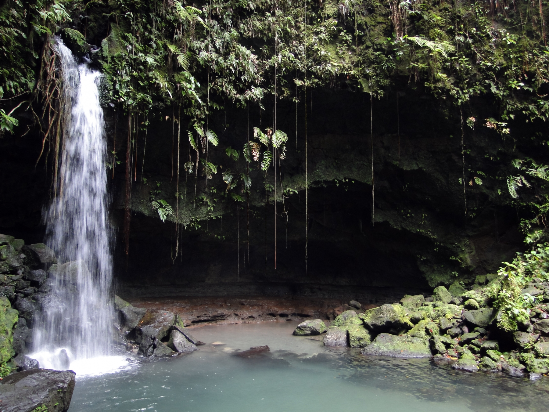 una piscina color smeraldo in mezzo alla radura, dominica