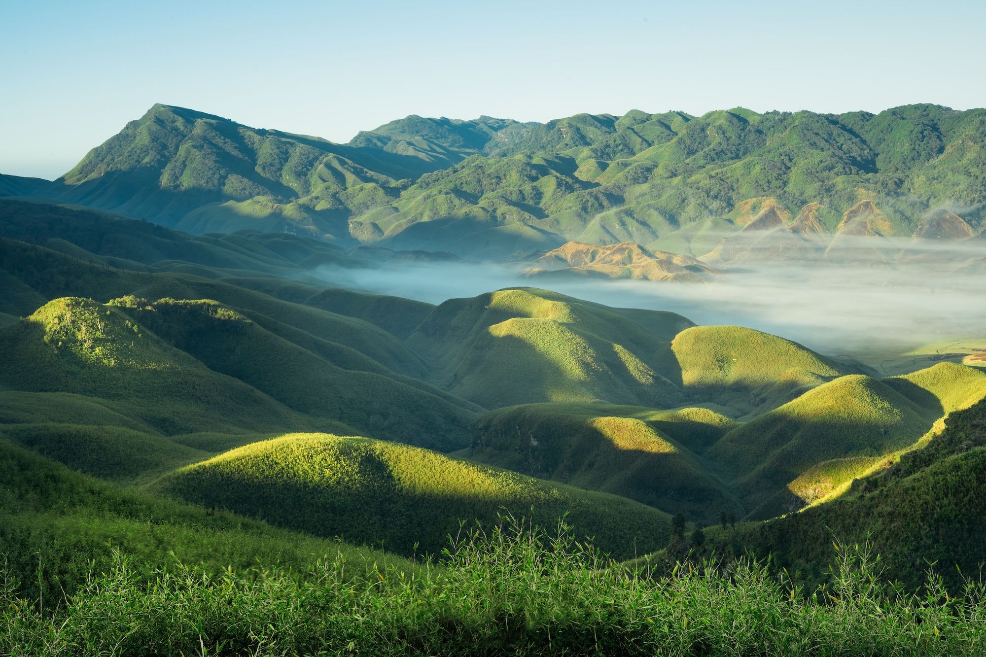 La valle del Dzukou in Nagaland © TARKIK DUTTA / Shutterstock